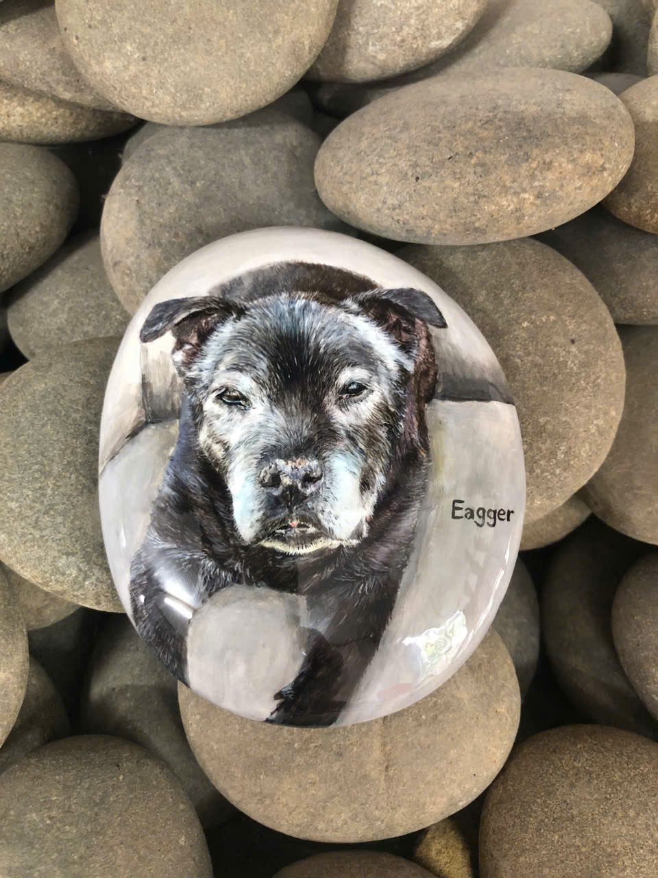 Custom Dog Photo stone
